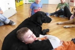 phoca_thumb_l_dogoterapia-przedszkole-specjalne-nr-1_010