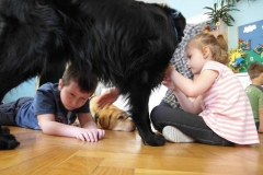 phoca_thumb_l_dogoterapia-przedszkole-specjalne-nr-1_018