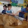 phoca_thumb_m_dogoterapia-przedszkole-specjalne-nr-1_000