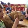 phoca_thumb_m_dogoterapia-przedszkole-specjalne-nr-1_003