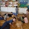 phoca_thumb_m_dogoterapia-przedszkole-specjalne-nr-1_006