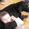 phoca_thumb_m_dogoterapia-przedszkole-specjalne-nr-1_009