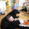 phoca_thumb_m_dogoterapia-przedszkole-specjalne-nr-1_010