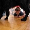 phoca_thumb_m_dogoterapia-przedszkole-specjalne-nr-1_013