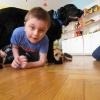 phoca_thumb_m_dogoterapia-przedszkole-specjalne-nr-1_014