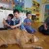 phoca_thumb_m_dogoterapia-przedszkole-specjalne-nr-1_019