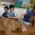 phoca_thumb_s_dogoterapia-przedszkole-specjalne-nr-1_000