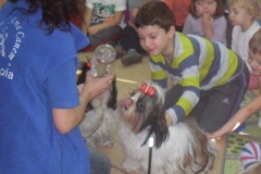phoca_thumb_l_dogoterapia-016