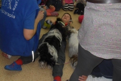 phoca_thumb_l_dogoterapia-025