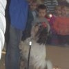 phoca_thumb_m_dogoterapia-010
