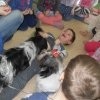 phoca_thumb_m_dogoterapia-026