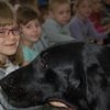 phoca_thumb_m_1.03.2017-pp-3-kutno_004