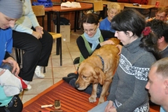 phoca_thumb_l_radwanowice_15102011_006