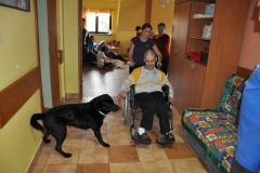 phoca_thumb_l_radwanowice_15102011_010