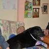 phoca_thumb_m_radwanowice_15102011_008