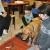 phoca_thumb_s_radwanowice_15102011_006