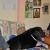 phoca_thumb_s_radwanowice_15102011_008