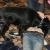 phoca_thumb_s_radwanowice_15102011_013