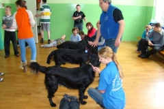phoca_thumb_l_sosw-turek_27