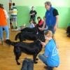 phoca_thumb_m_sosw-turek_27
