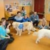 phoca_thumb_m_sosw-turek_33