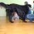 phoca_thumb_s_sosw-turek_28