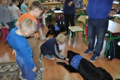 phoca_thumb_l_sp-116_003