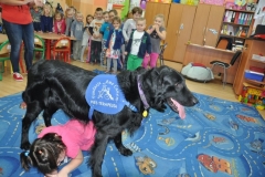 phoca_thumb_l_sp-116_008