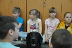 phoca_thumb_l_sp-116_012