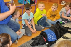 phoca_thumb_l_sp-116_013