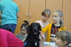 phoca_thumb_l_sp-116_014