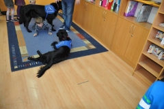 phoca_thumb_l_sp-116_017