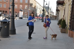 spacer-30.03.2014_01