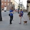 phoca_thumb_m_spacer-30.03.2014_01