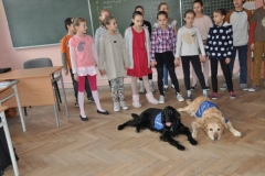 phoca_thumb_l_szkoa-baletowa_004