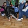phoca_thumb_m_szkoa-taca-family_6