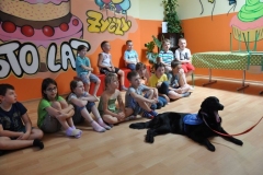 phoca_thumb_l_22.07.2016_11