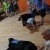 phoca_thumb_s_22.07.2016_16