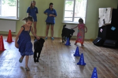 phoca_thumb_l_zgierz-2.08.2012_14