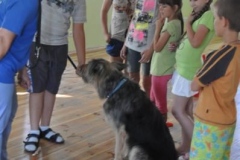 phoca_thumb_l_zgierz-2.08.2012_6