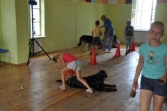 phoca_thumb_l_zgierz-2.08.2012_9