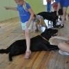 phoca_thumb_m_zgierz-2.08.2012_15