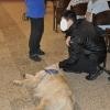 phoca_thumb_m_zakad-karny-w-sieradzu_3