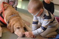 phoca_thumb_l_zlobek-zgierz_001