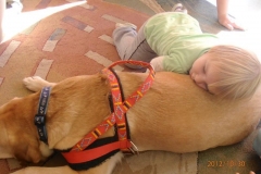 phoca_thumb_l_zlobek-zgierz_002