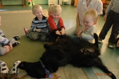 phoca_thumb_l_zlobek-zgierz_009