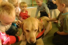 phoca_thumb_l_zlobek-zgierz_010