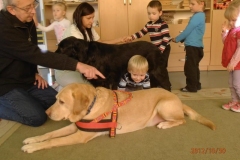 phoca_thumb_l_zlobek-zgierz_011